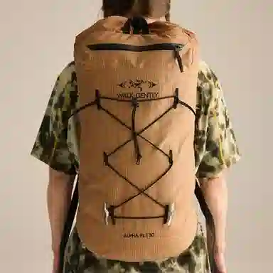 Arcteryx walk gently Alpha FL 30L