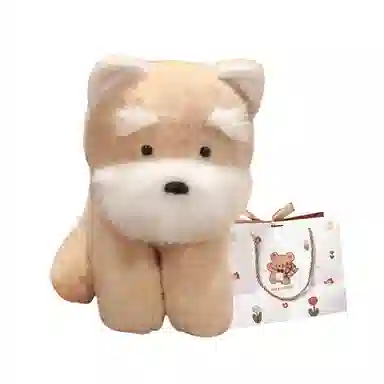 OU DI PIG 22cm35cm45cm