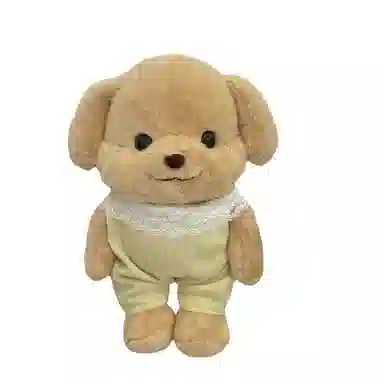 25cm35cm
