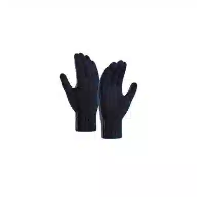 梦特娇 秋冬纯色绞花毛线加厚保暖触屏五指 腈纶 绒线手套 男款