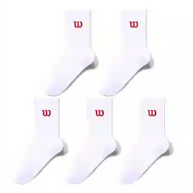 Warrior 5