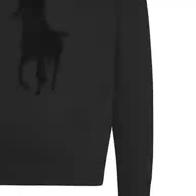 Polo Ralph Lauren Logo