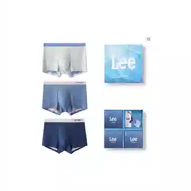 Lee 3