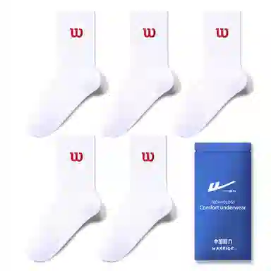 Warrior 5
