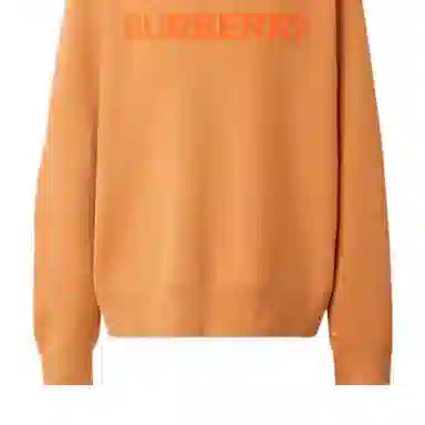 Burberry FW22 Logo