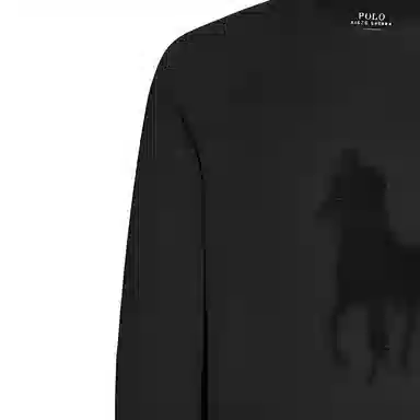Polo Ralph Lauren Logo