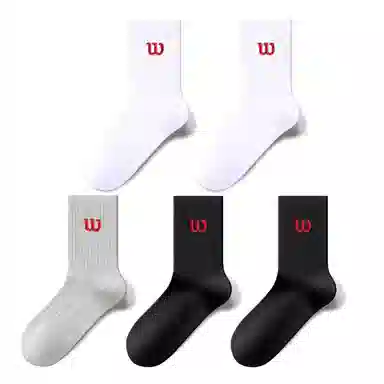 Warrior 5