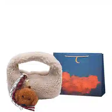 爱尔绅特 时尚百搭 羊羔毛 斜挎包 女款 多色