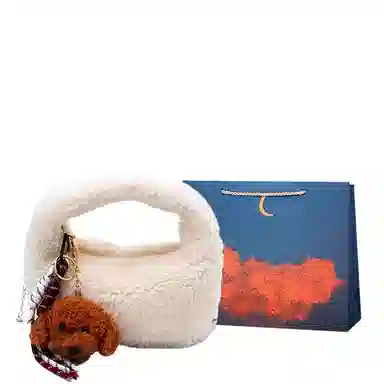 爱尔绅特 时尚百搭 羊羔毛 斜挎包 女款 多色