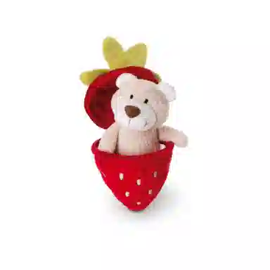 NICI 13cm