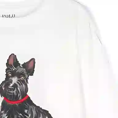 Polo Ralph Lauren FW24 LogoT