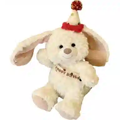 25cm