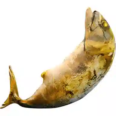 Teacher Lin 20cm60cm70cm80cm