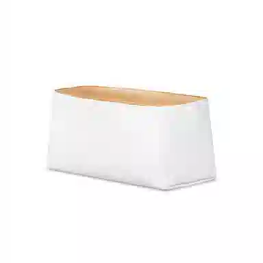 FANJI songmontmini