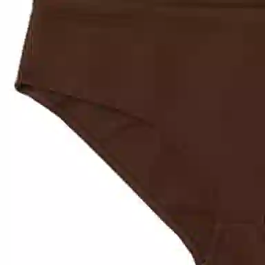 Miu Miu SS24 Brown Bikini