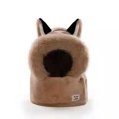 tonlion