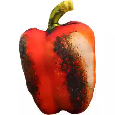 Teacher Lin 20cm60cm70cm80cm