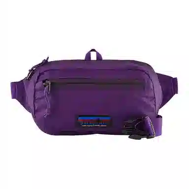 Patagonia Black Hole Hip Pack 1L Brown