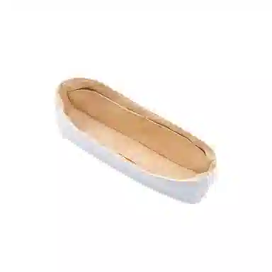 FANJI CoachTeri25