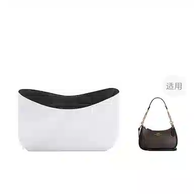 FANJI CoachTeri25