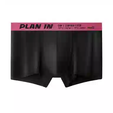 PLAN IN