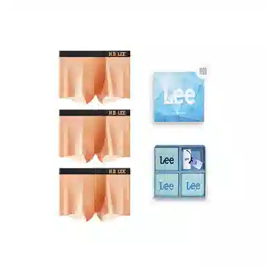 Lee 3
