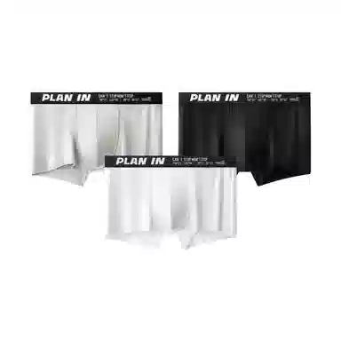 PLAN IN