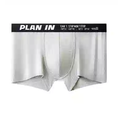 PLAN IN