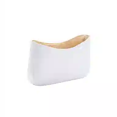 FANJI CoachTeri25