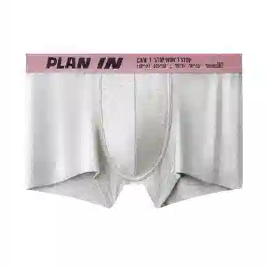 PLAN IN