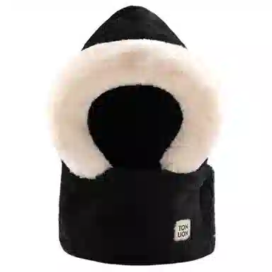 tonlion
