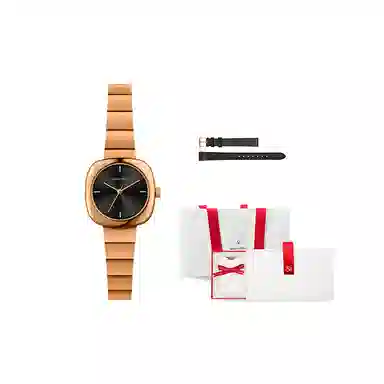 SMART ROCK SR603-E424A