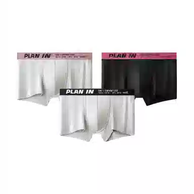 PLAN IN