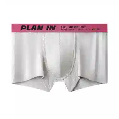 PLAN IN