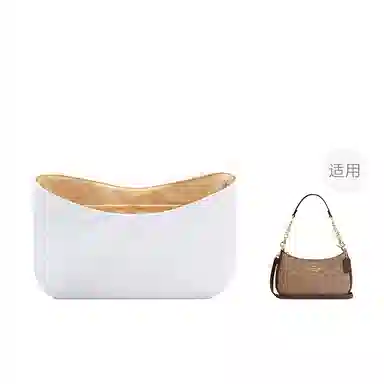 FANJI CoachTeri25
