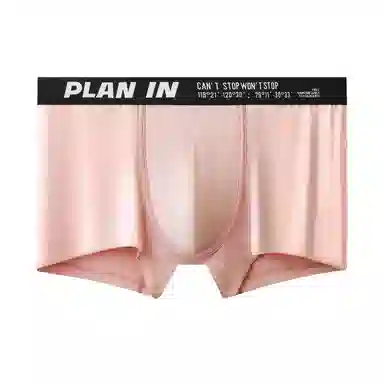 PLAN IN