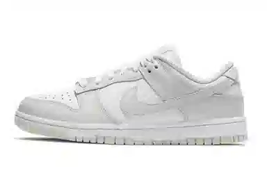 Nike Dunk RR White Grey Blue