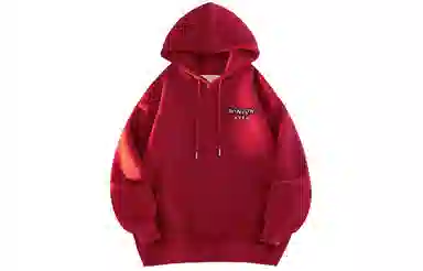 AYEA Hoodie