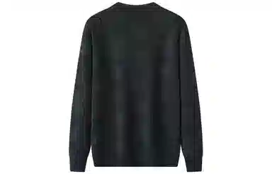 恒源祥 纯羊毛半高领提花针织衫毛衣 男款