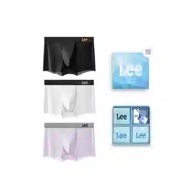 Lee 3
