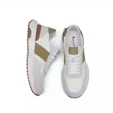 AQUASCUTUM