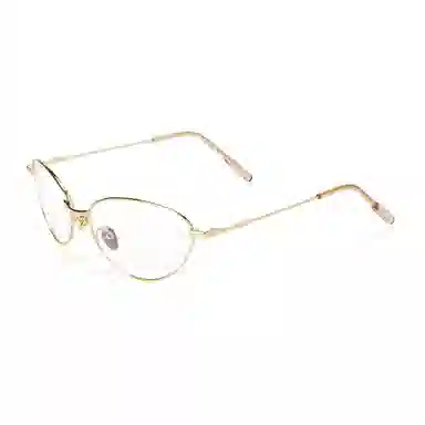 PLASTIC BRAIN Optical Frame