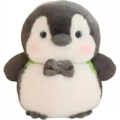 25cm35cm