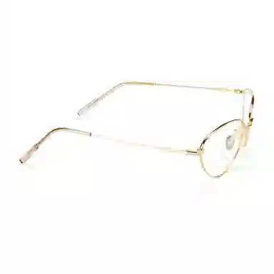 PLASTIC BRAIN Optical Frame