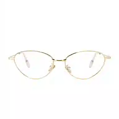 PLASTIC BRAIN Optical Frame