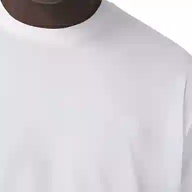 Burberry T