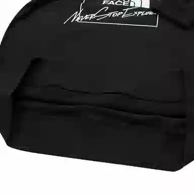 THE NORTH FACE Logo
