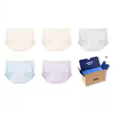 Lee 5