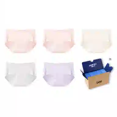 Lee 5