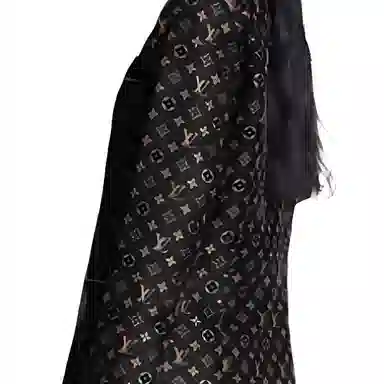 LOUIS VUITTON Monogram